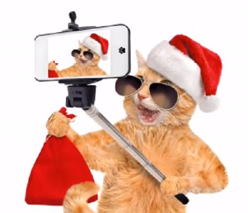 Đeo kính vào trông thật ngầu. Ảnh: Greensheet Media Blog.