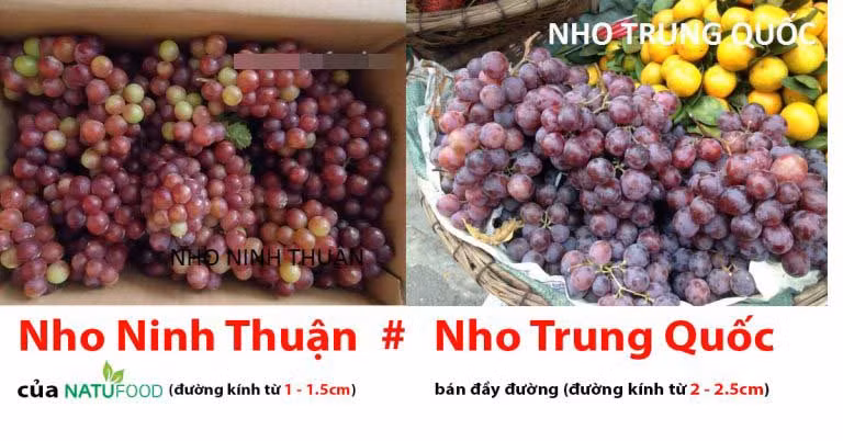 Trước đây, trên thị trường còn xuất hiện nho đỏ Trung Quốc. Đặc điểm của loại nho này là quả to, gấp nhiều lần so với nho Phan Rang. Ảnh: Natufood.
