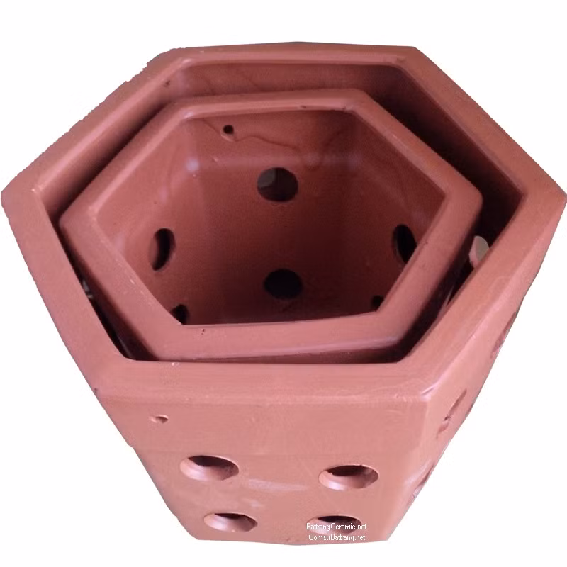 Nên chọn chậu trồng lớn hơn khoảng 25% so với rễ chùm của cây. Tốt nhất nên sử dụng chậu đất nung vì chúng có khả năng thoát hơi nước, giúp cây chanh phát triển nhanh (chanh không ưa giữ nước). Ảnh: Cayvahoa.