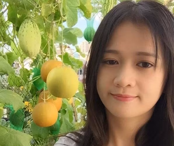 Khoảng sân thượng nhỏ nhắn chỉ 15m2 cô gái trẻ Lý Hồng Kiều ở quận Phú Nhuận (TP HCM) trồng đủ các loại dưa trong thùng xốp sai trĩu trịt quả. Ảnh: Em đẹp