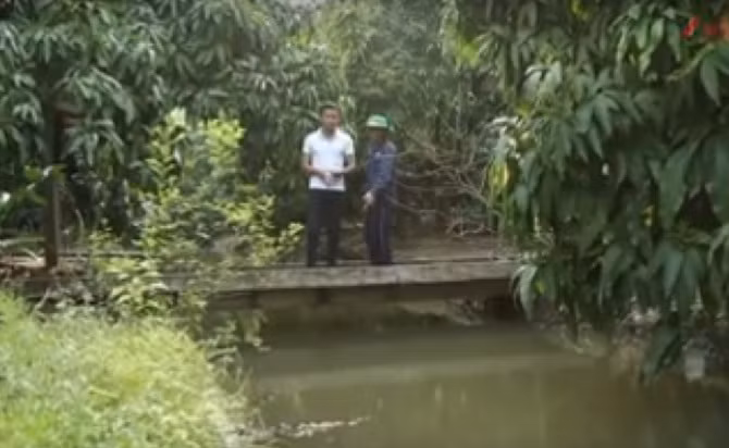 Hàng năm đều có cán bộ kỹ thuật của cơ quan kiểm định xuống kiểm tra nguồn nước tưới cây cho xoài Cát Chu. Ảnh: Youtube.