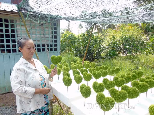 Cam chac tren chuc trieu moi thang nho nghe la: Trong co may man-Hinh-7