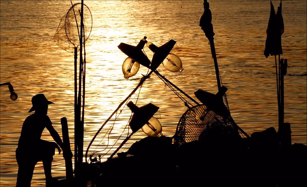 Thuyền câu mực của ngư dân tỉnh Quảng Bình cập bến bình minh trên sông Nhật Lệ. Họ đang đón nhận thành quả của mình sau một chuyến ra khơi bội thu. Ảnh: Cấn Mạnh Hùng.