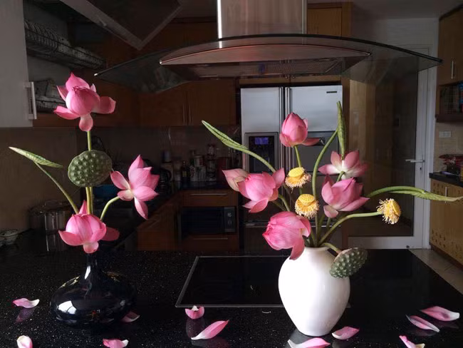 Phòng bếp bừng sáng với sự góp mặt của sen hồng. Ảnh: Khám phá.