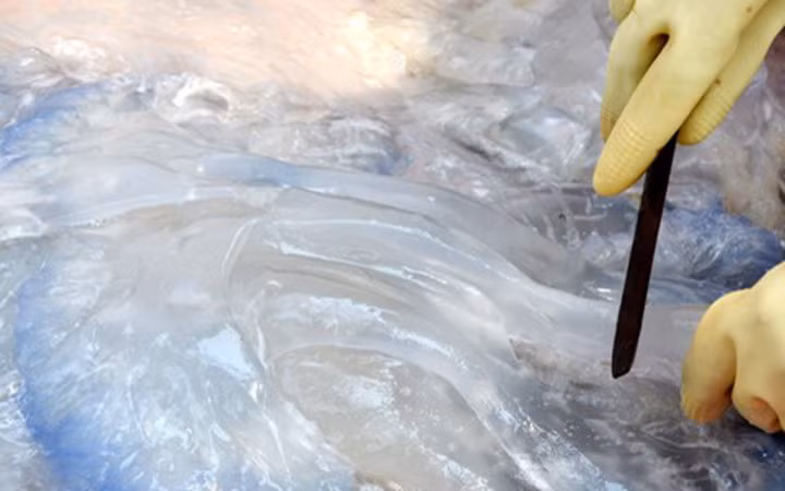 Thông thường công việc một ngày phải làm liên tục hơn 10 tiếng đồng hồ (Ảnh: Báo Nghệ An)