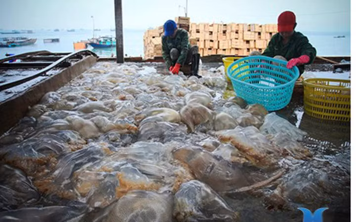 Trong những tháng dài lênh đênh trên biển, ngư dân phải đối mặt với cảnh thiếu điện, thiếu nước sạch và khan hiếm nhu yếu phẩm (Ảnh: Dân trí)