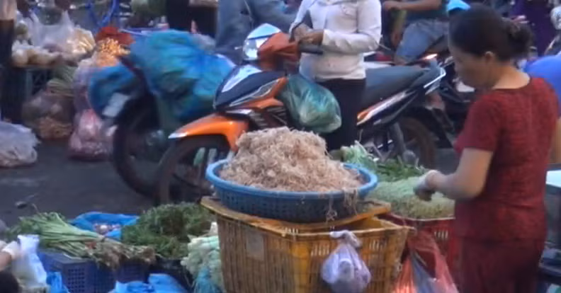 Bắp chuối sau khi đưa vào máy bào, sẽ được ngâm qua hàn the, nhằm giúp giòn. Ảnh: ANTV.