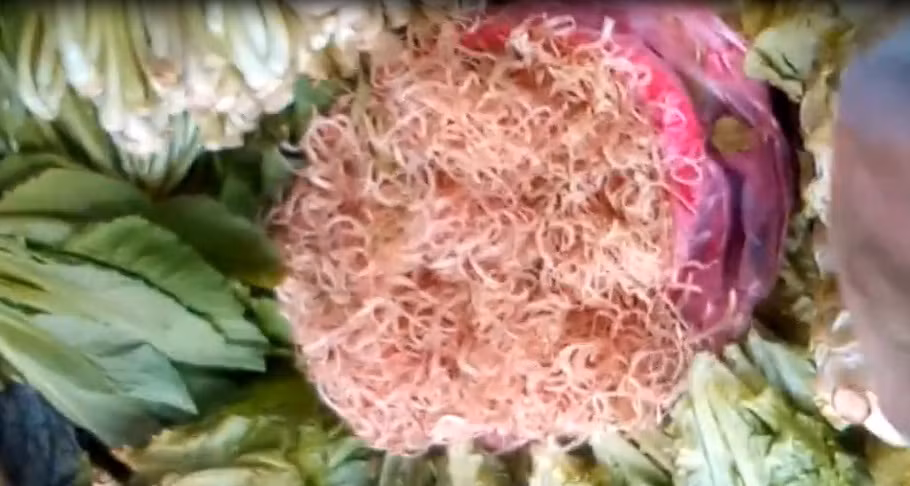 Theo lời của người bán, các loại bắp chuối này đều mới làm, và không ngâm hóa chất. Tuy nhiên qua quan sát, chúng khá trắng, không bị thẫm màu bởi nhựa chuối tiết ra như bình thường. Ảnh: ANTV.