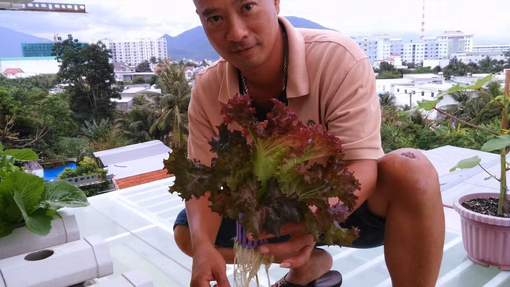 Ông bố hai con Quốc Bảo là chủ nhân của vườn rau quả trên sân thượng 35m2 ở Nha Trang. Ảnh: Đời sống &amp; pháp lý.