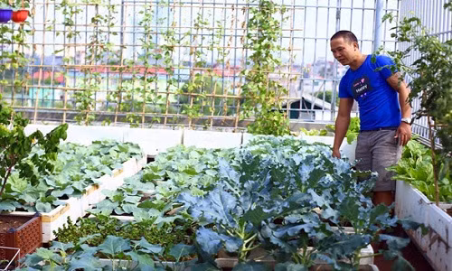 Anh Bùi Minh Tuấn ở Đại Mỗ, Nam Từ Liêm, Hà Nội khiến nhiều cánh mày râu nể phục khi biến sân thượng tầng 5 thành khu vườn xanh mướt. Ảnh: Dân Việt.
