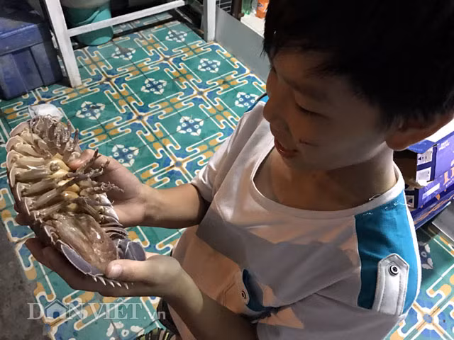 Cong phu san “xe tang loi nuoc” - vua hai san-Hinh-2