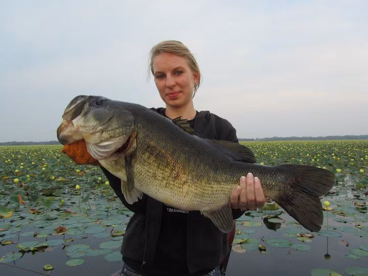 Công việc này đòi hỏi cần thủ sự kiên nhẫn. Ảnh: Printest.