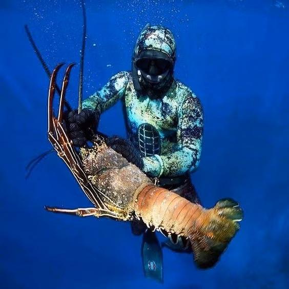 Họ phải lặn xuống độ sâu hơn 50 mét. Ảnh: Printest.