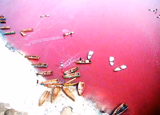 14. Hồ Retba: Hồ Retba, hay hồ hoa hồng, nằm ở phía bắc đảo Cap Vert của Senegal. Tên hồ bắt nguồn từ màu nước hồng đậm đặc trưng bởi loại tảo nơi đây sinh trưởng do hàm lượng muối cao tới 40%. Du khách tới đây vô cùng thích thú bởi những bụi cây samphire màu đỏ tía phát triển mạnh mẽ trên những bãi cát trắng, và cồn cát có màu đất nâu.