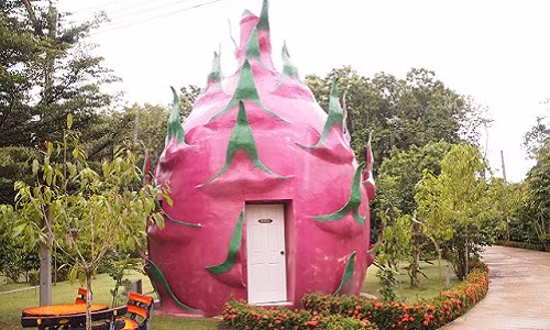 Có vẻ như ngôi nhà hình trái cây vẫn còn khá xa lạ với nhiều người. Trong ảnh là ngôi nhà hình quả thanh long đẹp mắt.