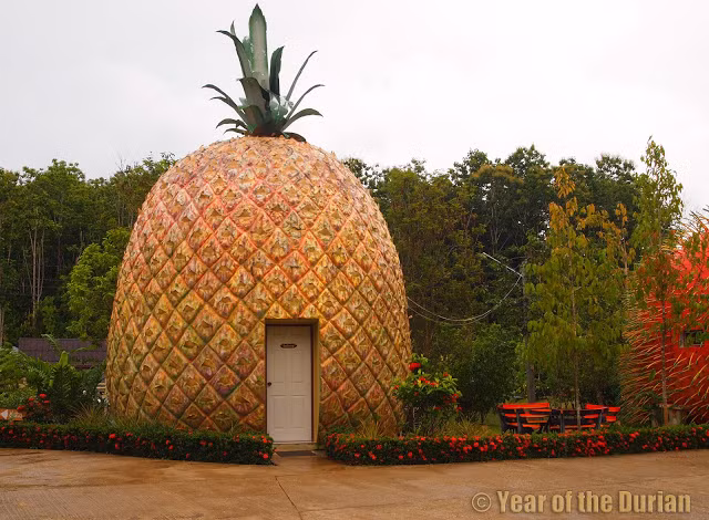 Căn nhà hình trái dứa này là ý tưởng của một gia đình để bảo vệ họ khỏi lũ lụt. Ảnh: Printest.