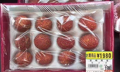 Soc: mat hon 400.000 de mua 12 qua vai thieu