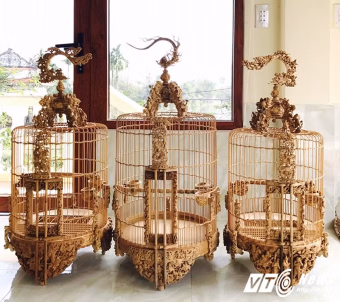 Long chim co gia toi ty dong khien dan choi xu Hue nga mu-Hinh-3