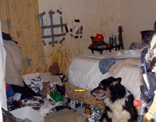 Một chiếc giường ngủ khác biến thành bãi rác lớn. Ảnh: Blogspot.