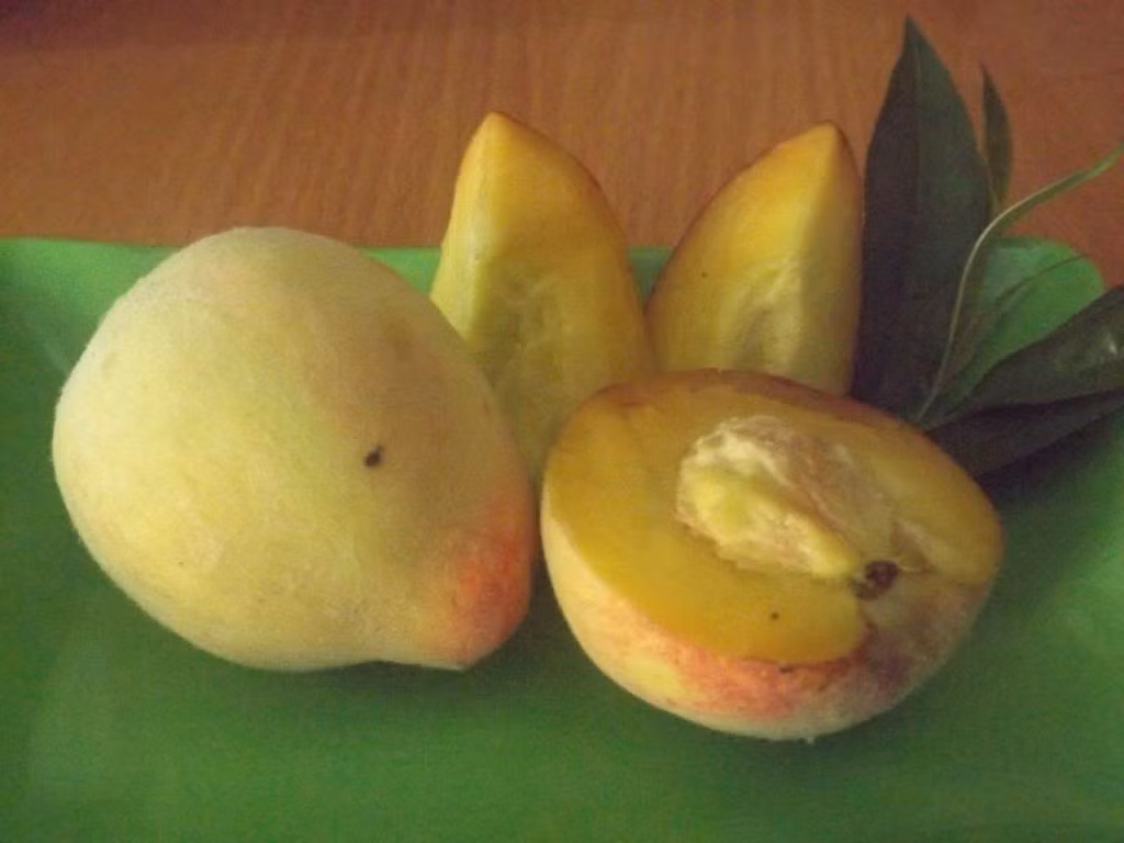 Một điểm dễ nhận biết nữa là đào Trung Quốc cùi thường màu vàng, khi ăn mềm nhũn. Ảnh: Photobucket.