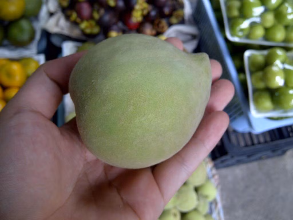 Với loại đào xanh, đào mỏ quạ, có thể phân biệt bằng cách nhìn “phần cuống” quả đào hơi cong cong giống mỏ quạ. Ảnh: Photobucket.