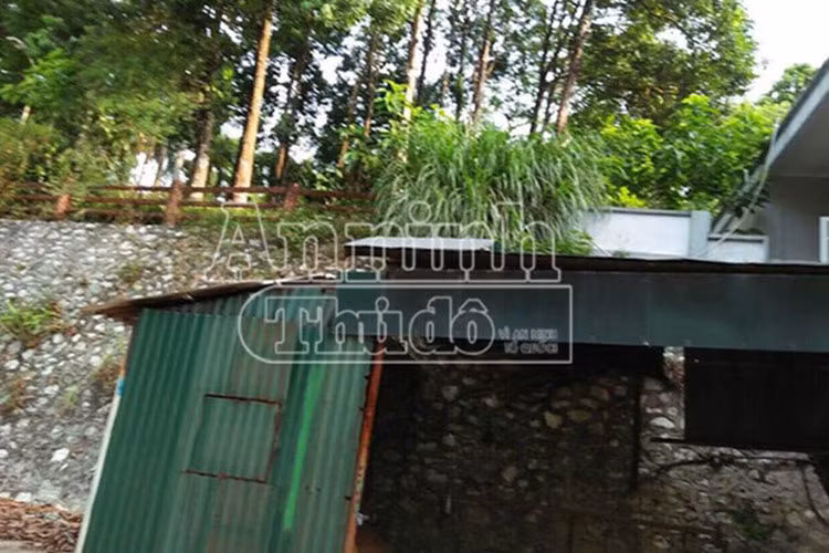 Đường đi vào khách sạn cây cối um tùm không người cắt tỉa. Lá cây rụng rải rác khắp lối vào. Mọi thứ trở nên hoang sơ, u ám.