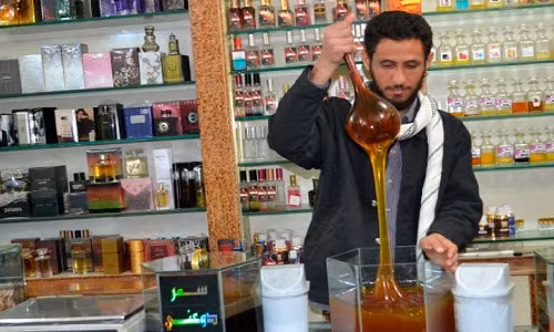 Do giữ được tinh chất cao nên Sidr từng được bán với giá 200 USD/kg. Ảnh: Yemen Times.