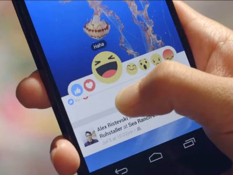 Ngồi trước máy tính hay điện thoại để lướt Facebook cả ngày có thể dẫn đến sự lười biếng. Đó chính là sự lãng phí thời gian. Ảnh: Techtimes.