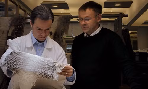 Những tấm da cá sấu sau khi lột được bảo quản trong phòng lạnh trước khi chuyển đến cơ sở xử lý da. Trước khi bắt tay vào sản xuất túi xách Hermes, người thợ phải kiểm tra da cá sẫu kỹ lưỡng nhằm xác định miếng da nào đạt tiêu chuẩn nhất. Ảnh: Business Insider.