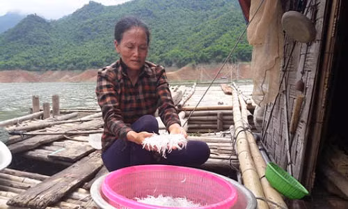 “San” ca hiem, moi nam chi co mot lan trong long ho song Da-Hinh-2