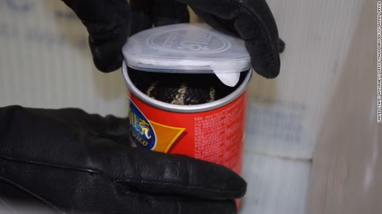 Kinh hoang 3 ho mang chua “tron" trong hop khoai tay-Hinh-2