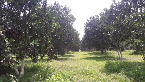 Len nui dai...“vang rong”-Hinh-3