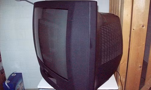 Chỉ những gia đình có điều kiện mới sắm về sử dụng. Ảnh: Tinhte.