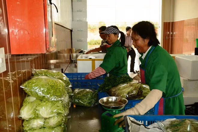 Với giá dao động từ 35.000 - 50.000 đồng/kg, hàng năm chủ vườn thu lãi khoảng 5 tỷ đồng/ha. Mỗi ha gia đình bà Huệ sản xuất được 3 vụ rau. Ảnh: Zing.