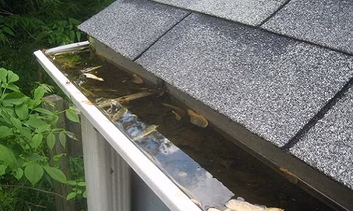 “Xoa so” ngay 6 thu nay trong nha, ban khoi lo sot xuat huyet