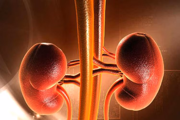 Vấn đề về thận: Việc dùng liều cao aspirin ở một số người đã dẫn đến suy thận cấp. Tác dụng phụ của aspirin đối với thận bao gồm giảm tỷ lệ lọc cầu thận, giảm lượng máu động mạch, suy tim, tăng urea máu và có thể dẫn đến suy thận hoàn toàn.