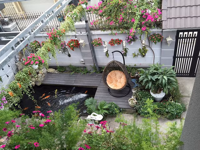 Ấn tượng nhất trong không gian sân vườn là hồ cá Koi - loài cá nổi tiếng của Nhật - được chủ nhà đầu tư rất nhiều công sức và tiền bạc.