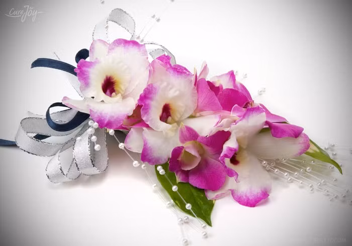 Hoa phong lan được sử dụng rộng rãi để trang trí cho nhiều sự kiện và các ngôi nhà. Hoa phong lan có nhiều màu trắng, vàng và tím. Để cây phong lan mau lớn và tươi tốt, bạn cần tưới nước, bón phân đều đặn vào mùa xuân và mùa hè và giữ cho cây khô ráo vào mùa thu và mùa đông.