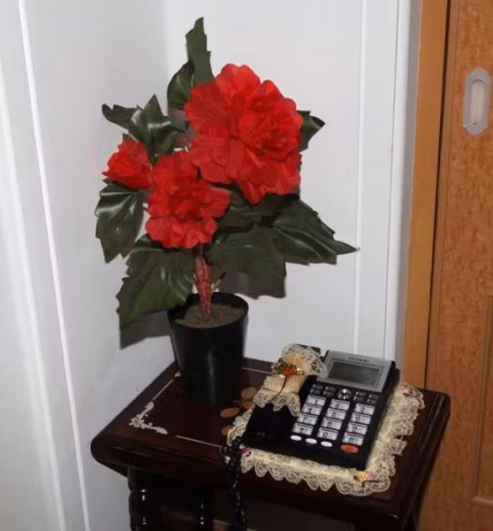 Chậu hoa nhỏ tô điểm cho phòng khách.