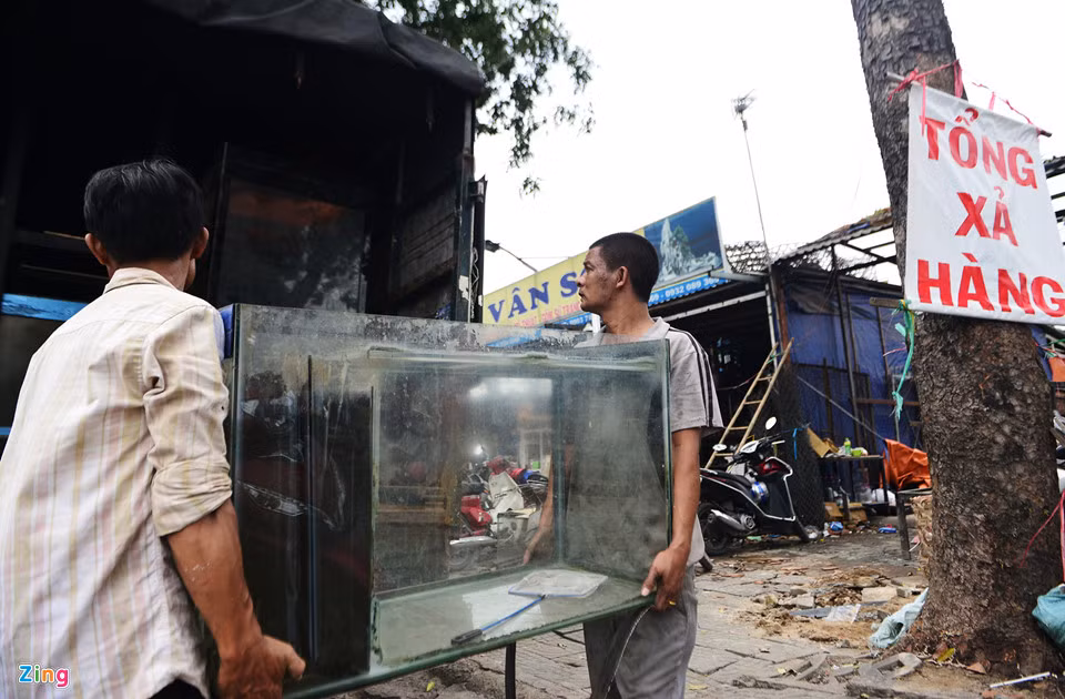 Cùng thời điểm, nhiều chủ kiốt kinh doanh sinh vật cảnh tiến hành chuyển hàng hóa đi nơi khác.
