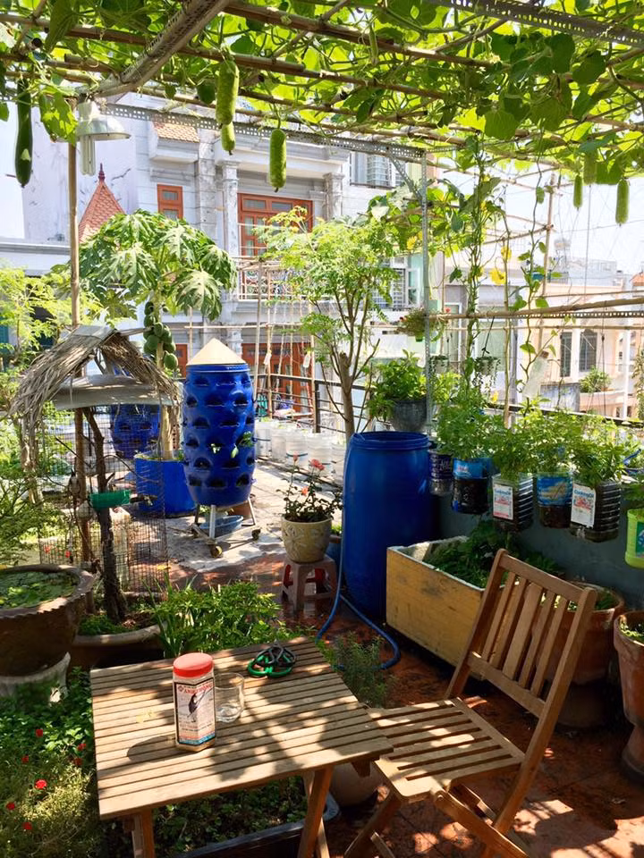 Một góc của khu vườn.