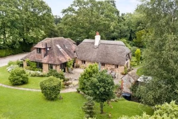 Thiết kế nhà tranh kiểu biệt thự với không gian sống hoàn hảo. Ảnh: Avalo.