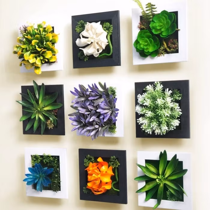 Trồng nhiều loại cây trên tường sẽ giúp gia chủ tạo ấn tượng mạnh mẽ cho khách khi tới thăm nhà. Thậm chí, bạn còn có thể trồng nhiều loại hoa và cây xen kẽ như trong hình.