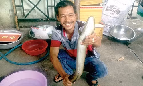 San "ca ma" huyen bi vung ho Ayun Ha