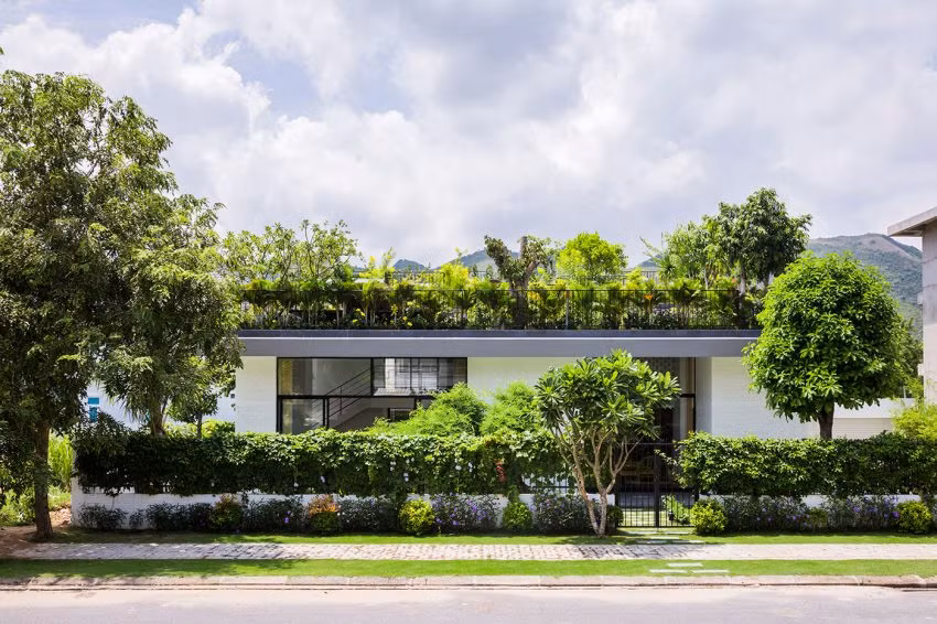 Để tối đa hóa diện tích cây xanh trên, mái nhà được chia thành các bậc song song, cây xanh nằm xen kẽ với ngói lợp.