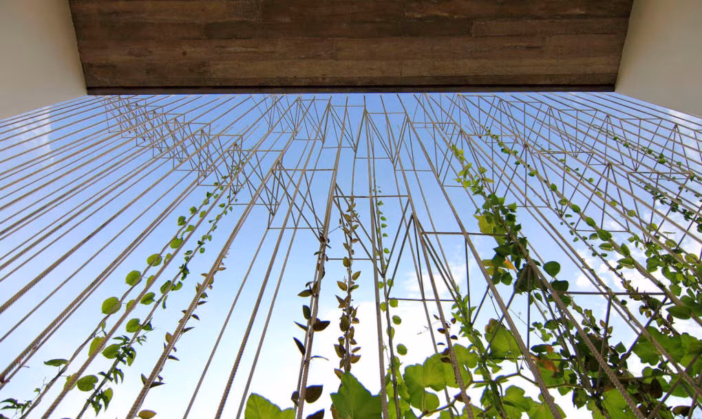 Một không gian yên tĩnh lý tưởng để nghỉ ngơi.