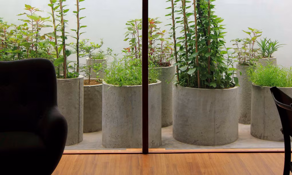 Nhờ thiết kế thông minh, chủ ngôi nhà Việt đẹp này thỏa sức trồng rau xanh.