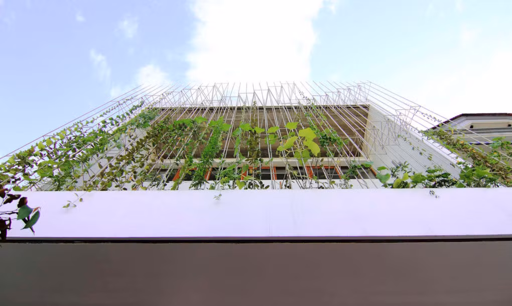 Hàng rào xanh mướt là giải pháp tuyệt vời giúp giảm sự ô nhiễm cũng như làm sạch không khí của ngôi nhà mặt phố.