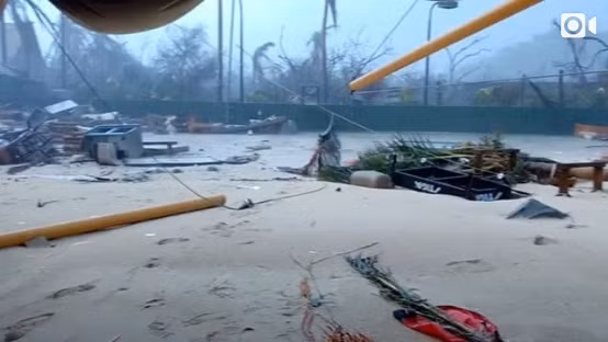 Rất nhiều nhà và cây cối trên đảo hư hỏng nặng. Ảnh: Telegraph.