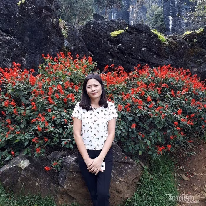 Ngam thien duong hoa hong ruc ro sac mau tren san thuong nha pho